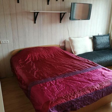 Flat, 1 Room, Study Panevezys Exterior photo