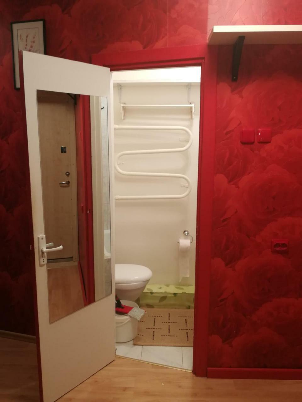 Flat, 1 Room, Study Panevezys Exterior photo